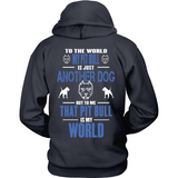 My Pit Bull Is My World