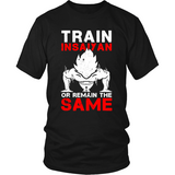 Train Insaiyen - Shoppzee